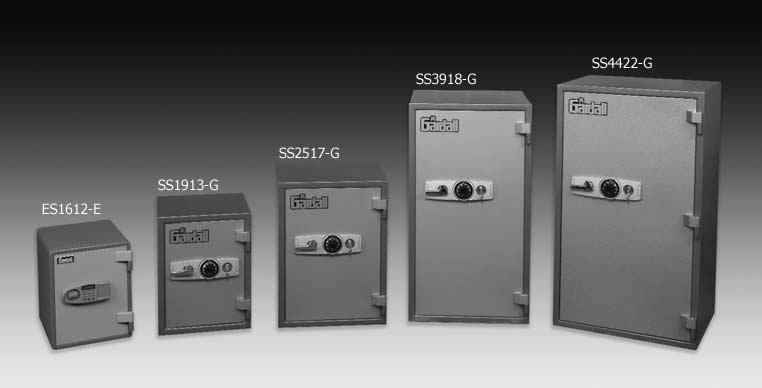 economical 2hrRecordSafes